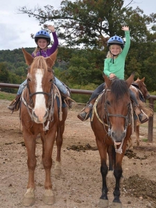 Horses Are Healing Heros