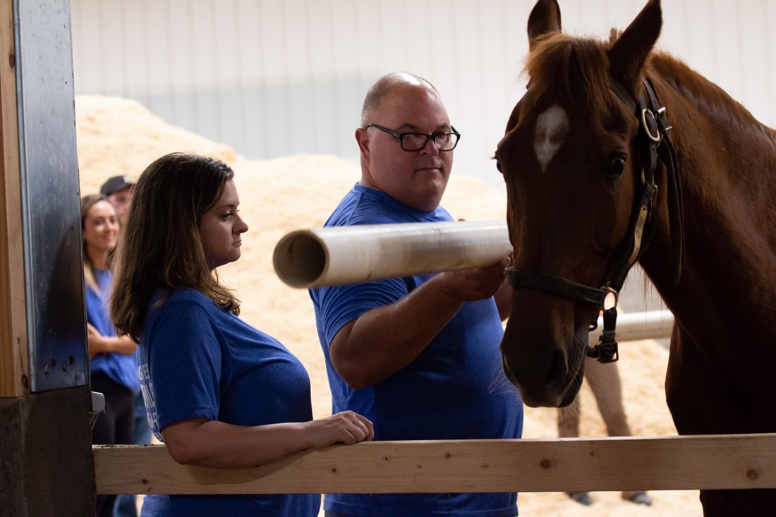 Team Building Event at The Brighton Equestrian Club. - MFS Blog - McCaskill Family Services - EmilyJimhorse