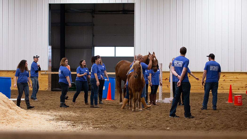 Team Building Event at The Brighton Equestrian Club. - MFS Blog - McCaskill Family Services - Groupworkingtogether2