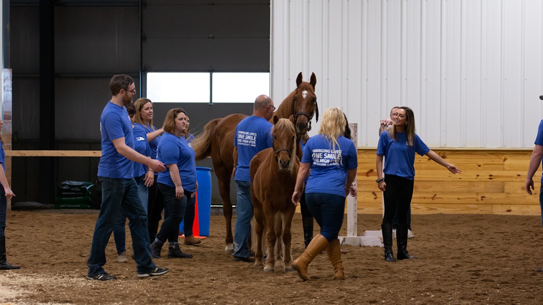 Team Building Event at The Brighton Equestrian Club. - MFS Blog - McCaskill Family Services - Hannahsaysthiswaygroup