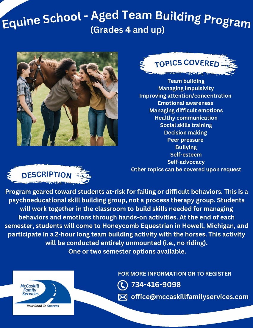 Equine School - Aged Team Building - McCaskill Family Services - equine_team_building_school_aged