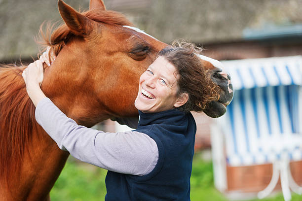 Equine Team Building